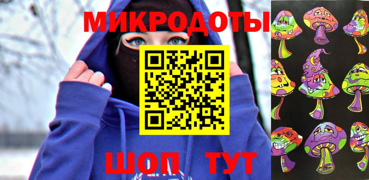 Пугачёв  Псилоцибиновые грибы ЛСД  Вход с VPN 